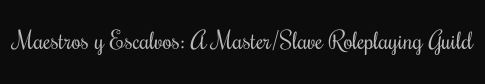 Maestros y Escalvos: A Master/Slave Roleplaying Guild banner