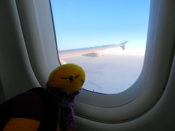 http://i1079.photobucket.com/albums/w503/Jasmin_Ogermann/Flug%20Las%20Vegas/DSCN9988600x450_zps2af77269.jpg