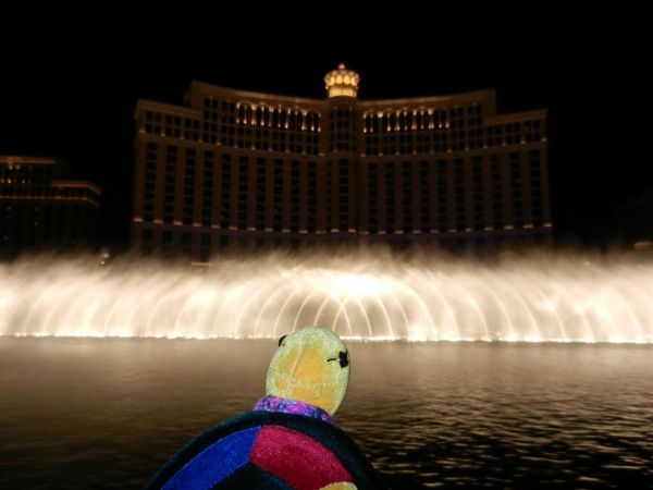 http://i1079.photobucket.com/albums/w503/Jasmin_Ogermann/Tag%203%20Las%20Vegas/DSCN0655600x450_zpsdbb14f57.jpg