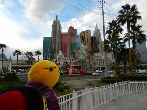 http://i1079.photobucket.com/albums/w503/Jasmin_Ogermann/tag%201%20las%20vegas/DSCN0216600x450_zps821e17ec.jpg
