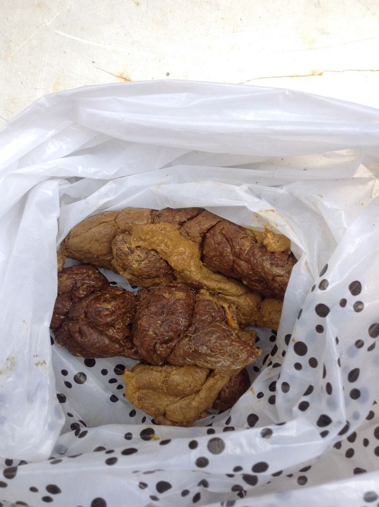 What do the different colors of poop mean The Meaning Of Color