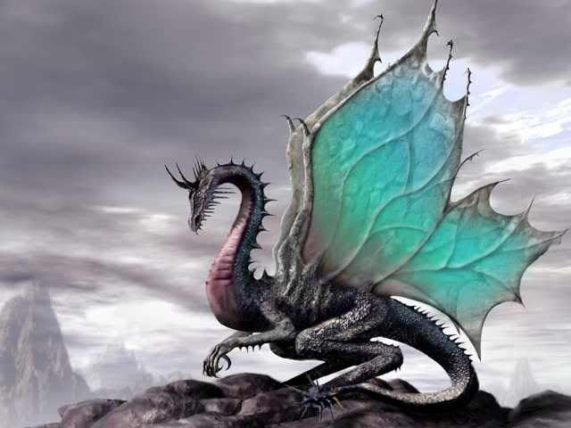 dragon Pictures, Images and Photos
