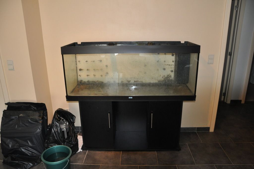 http://i1079.photobucket.com/albums/w505/jpjoeyjp2/DSC_0031_zpsc0ef7d85.jpg