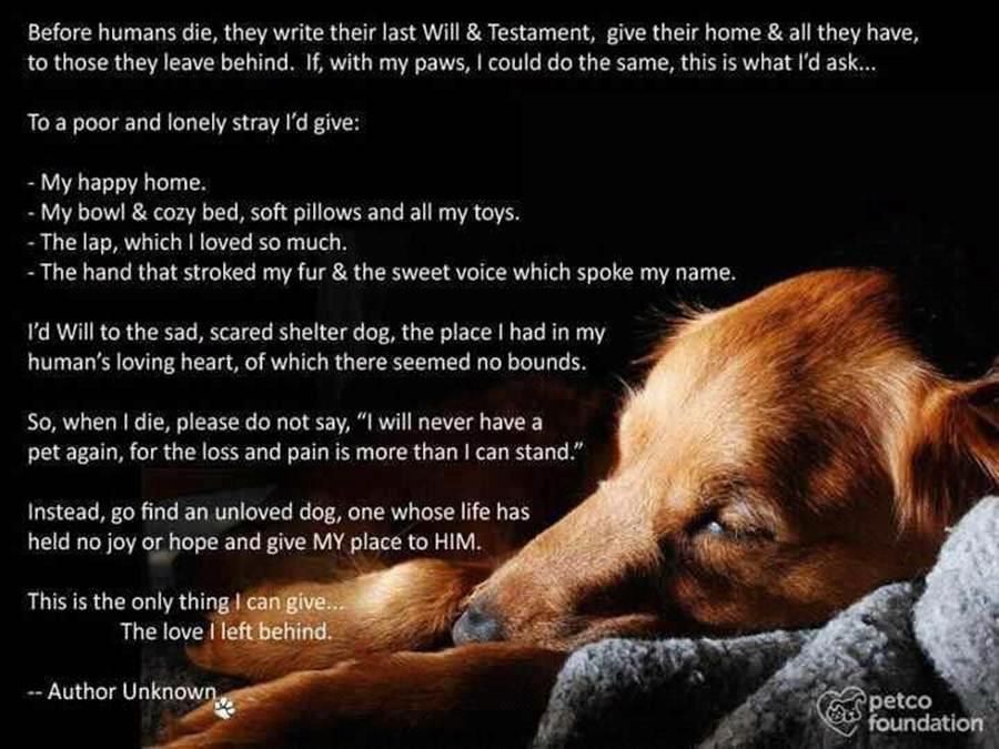 The last will and Testament of a dog