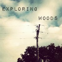 Exploring Woods