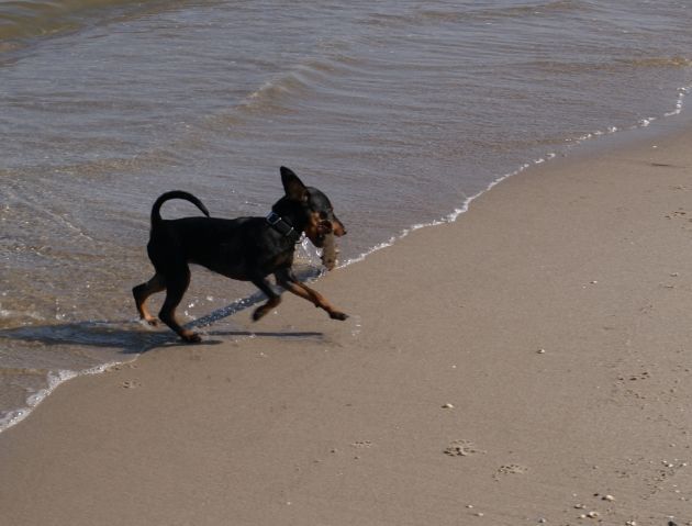 758f0dfc-b942-4363-803e-e39be7ec5e3f_zps