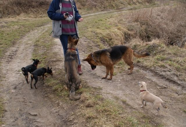 bf674a10-a157-45be-8b0d-30c101c90fa1_zps