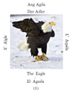 Aguilas-1