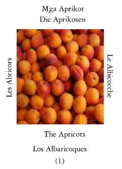 Apricots