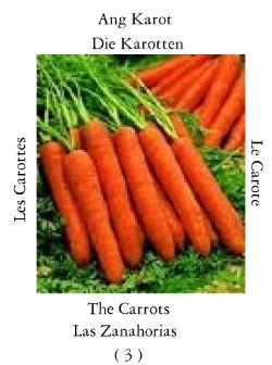 Carrots