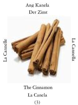 Cinnamon