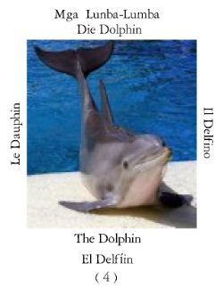 Delfinoi-1