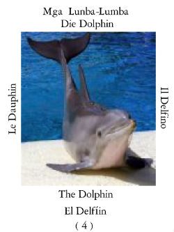 Dolphin