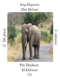 Elefantes-1