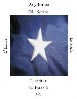 Estrellas-1