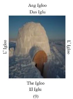 Igloo