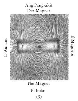 Imans-2