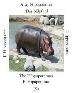 Ippopotamoi-1