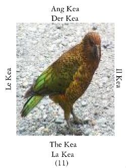 Kea