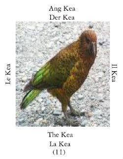Keai-1