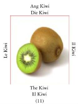 Kiwi