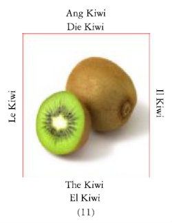 Kiwii-1