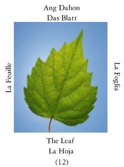 Leaf