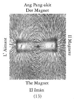 Magnet