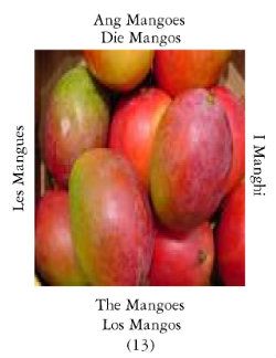 Mangoss-1