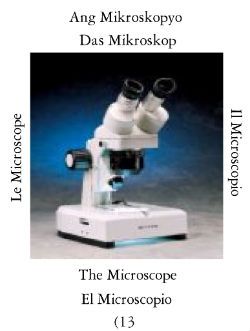 Microscope