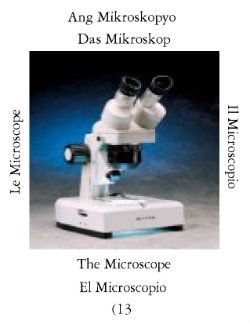 Microscopioi-1