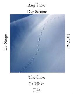 Nieves-1