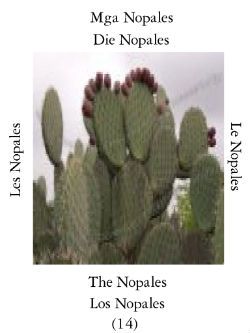 Nopales