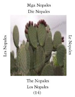 Nopaless-1