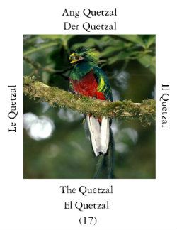 Quetzali-1