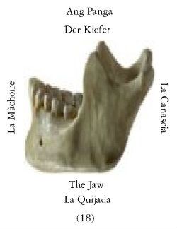 Quijadas-1