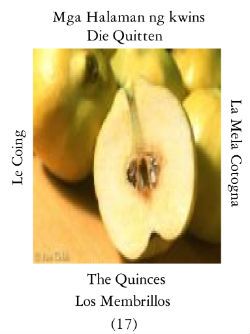 Quince