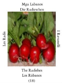 Radishes