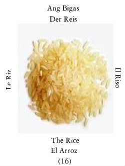 Rice