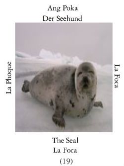 Seal