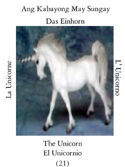 Unicorn