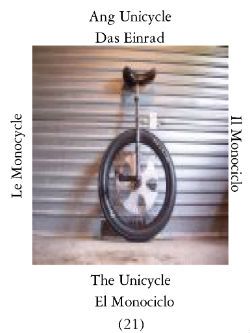 Unicycle
