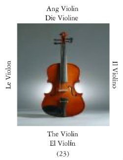Violins-2
