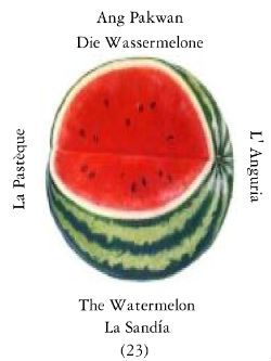 Watermelon
