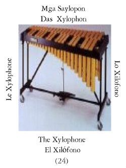 Xylophone