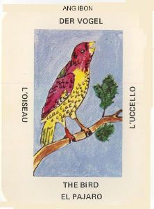 bird