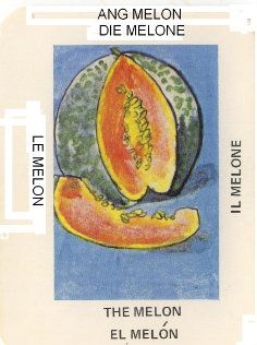 elmelonrev1