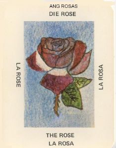rose