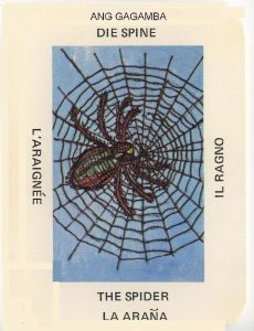 spider