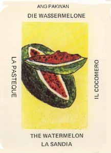 watermelon